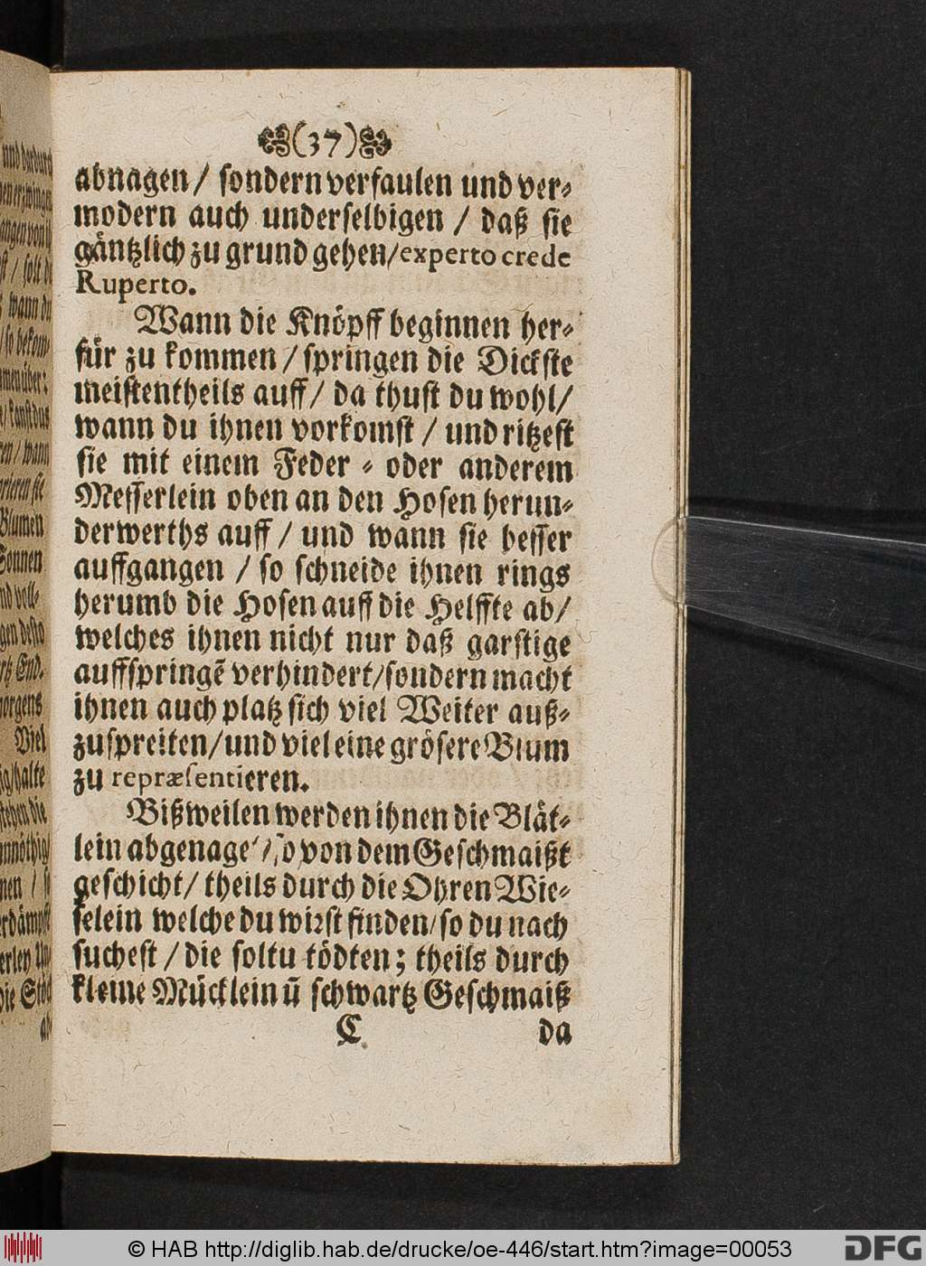 http://diglib.hab.de/drucke/oe-446/00053.jpg