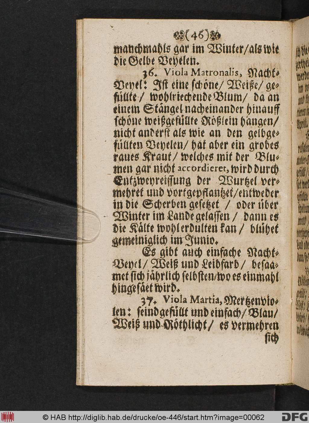 http://diglib.hab.de/drucke/oe-446/00062.jpg