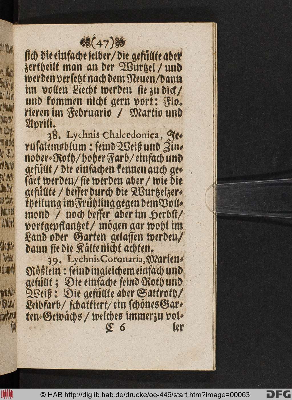 http://diglib.hab.de/drucke/oe-446/00063.jpg