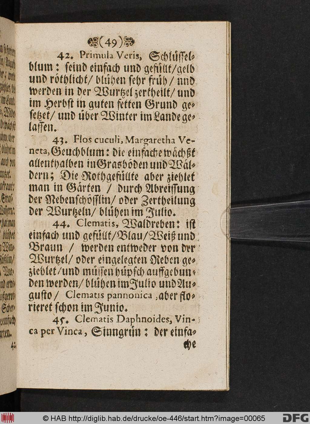 http://diglib.hab.de/drucke/oe-446/00065.jpg