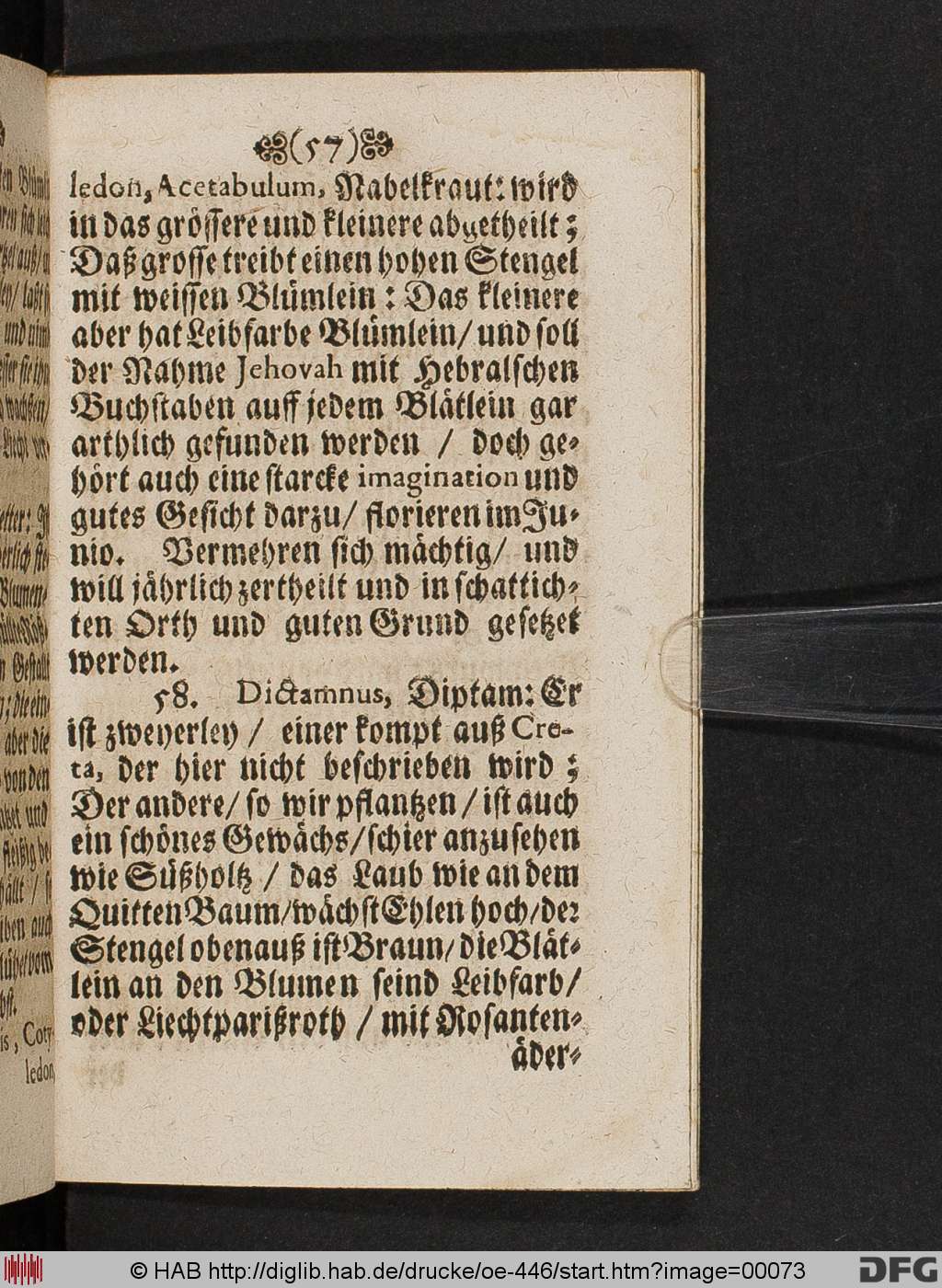 http://diglib.hab.de/drucke/oe-446/00073.jpg