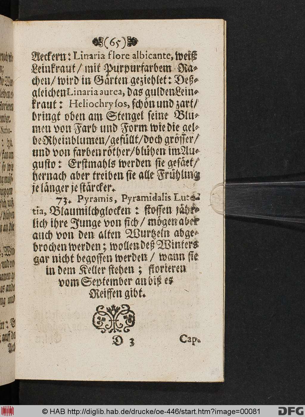 http://diglib.hab.de/drucke/oe-446/00081.jpg