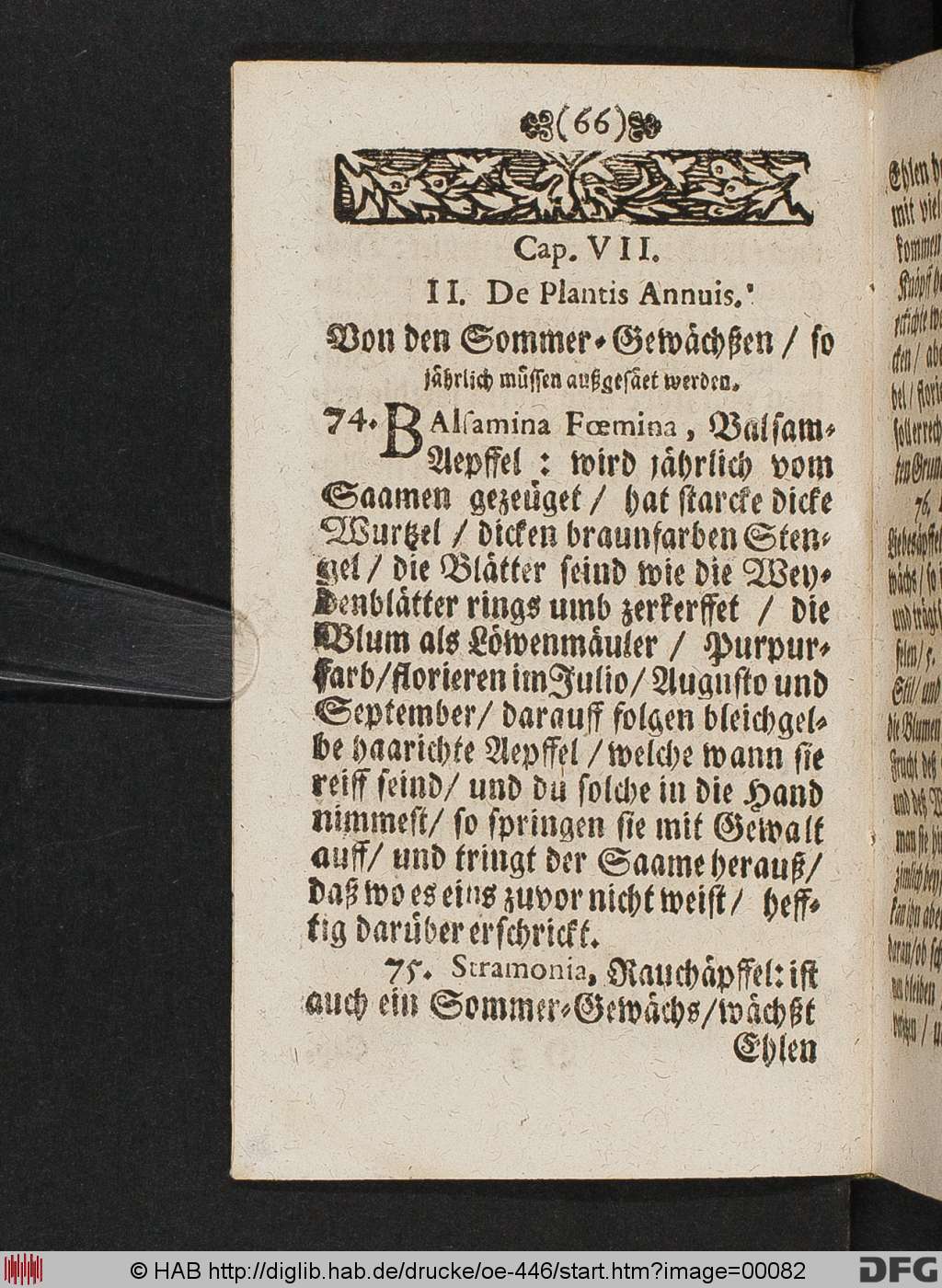 http://diglib.hab.de/drucke/oe-446/00082.jpg