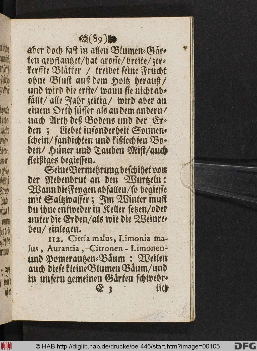 http://diglib.hab.de/drucke/oe-446/00105.jpg