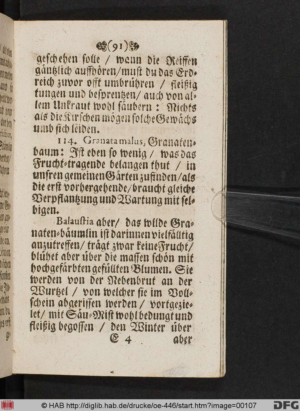 http://diglib.hab.de/drucke/oe-446/00107.jpg