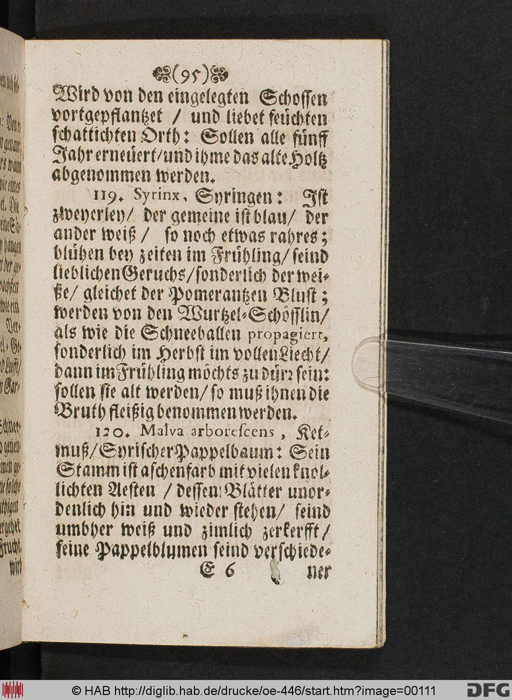 http://diglib.hab.de/drucke/oe-446/00111.jpg