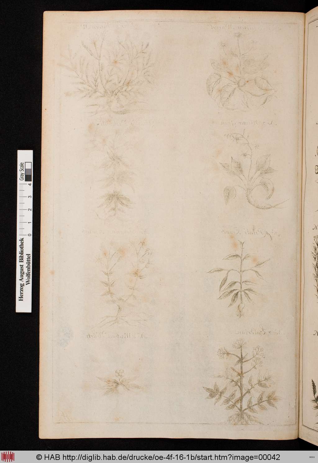http://diglib.hab.de/drucke/oe-4f-16-1b/00042.jpg
