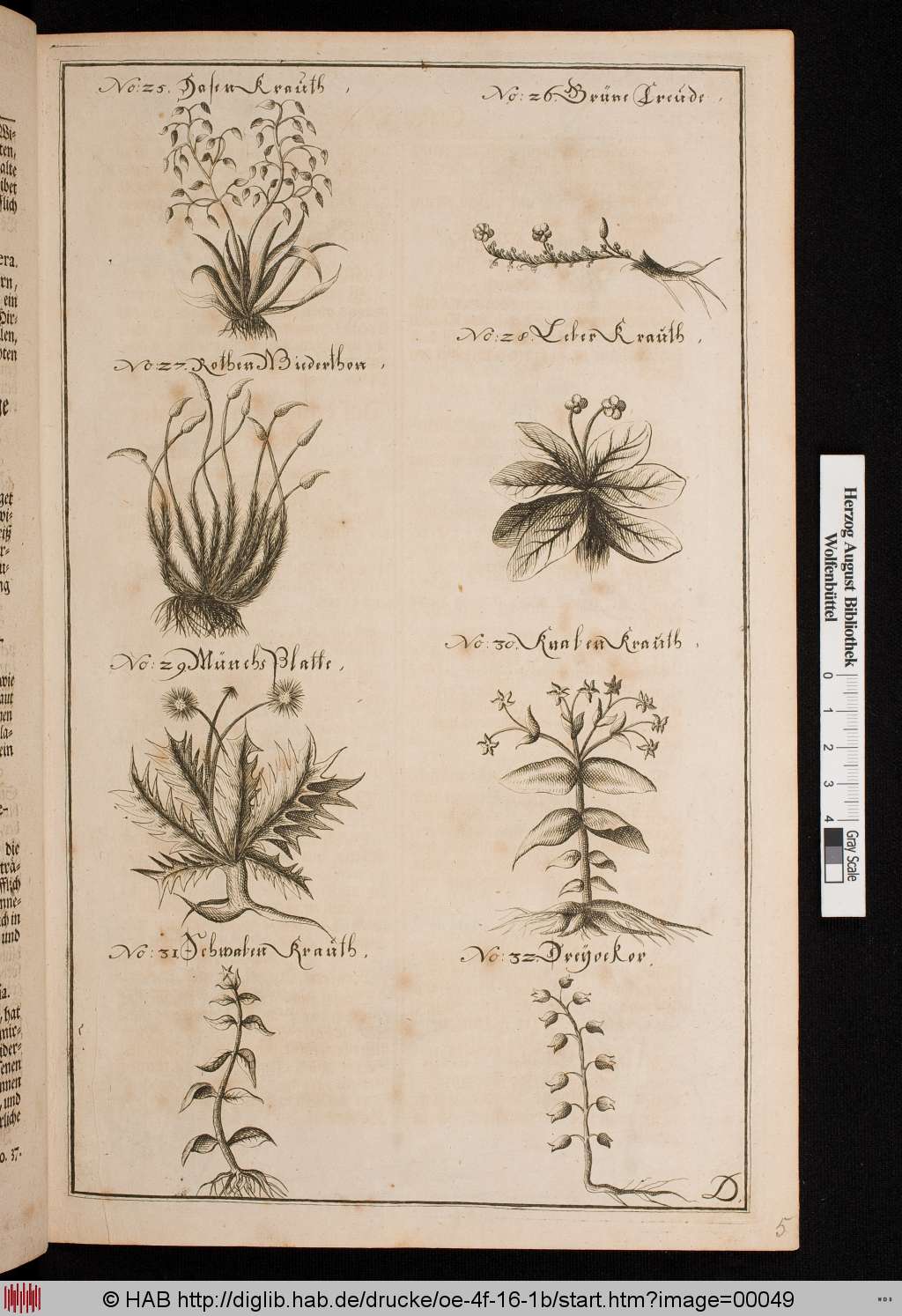 http://diglib.hab.de/drucke/oe-4f-16-1b/00049.jpg
