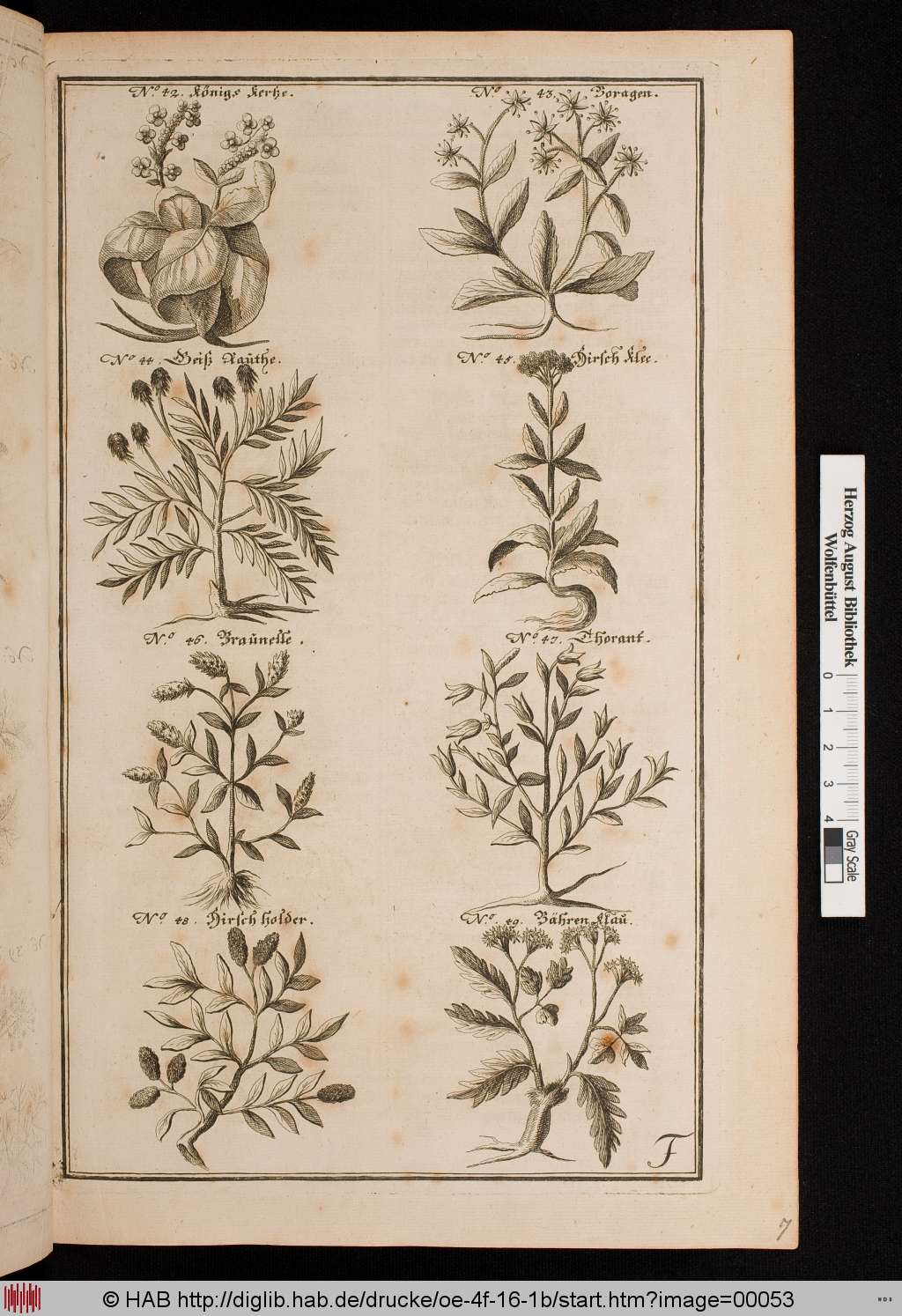 http://diglib.hab.de/drucke/oe-4f-16-1b/00053.jpg