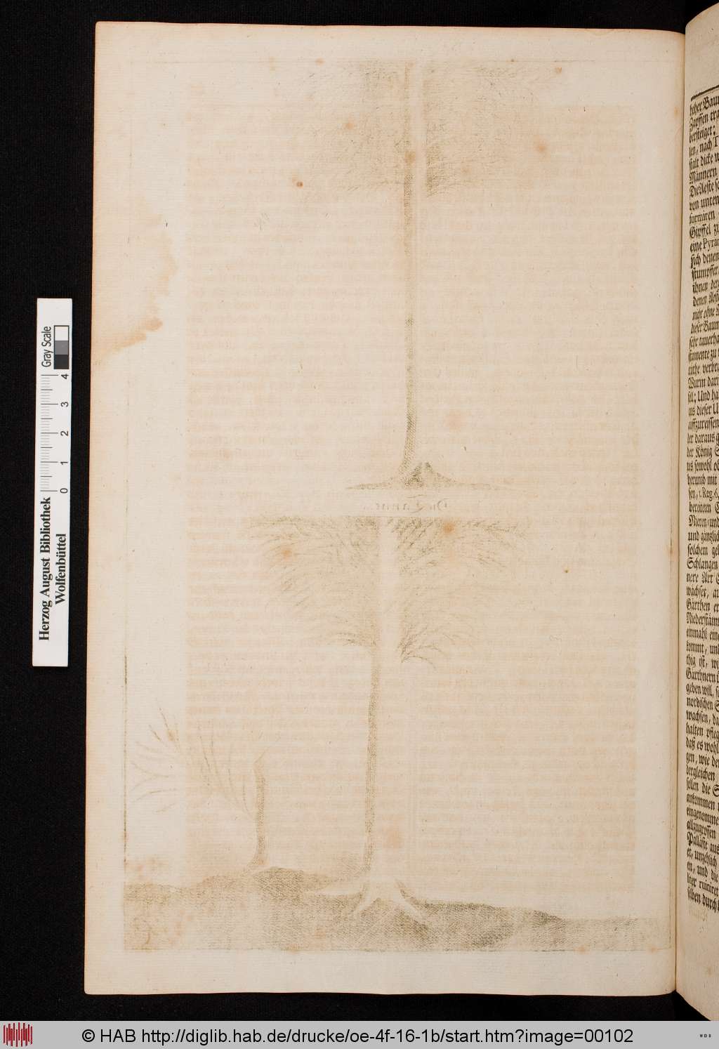 http://diglib.hab.de/drucke/oe-4f-16-1b/00102.jpg