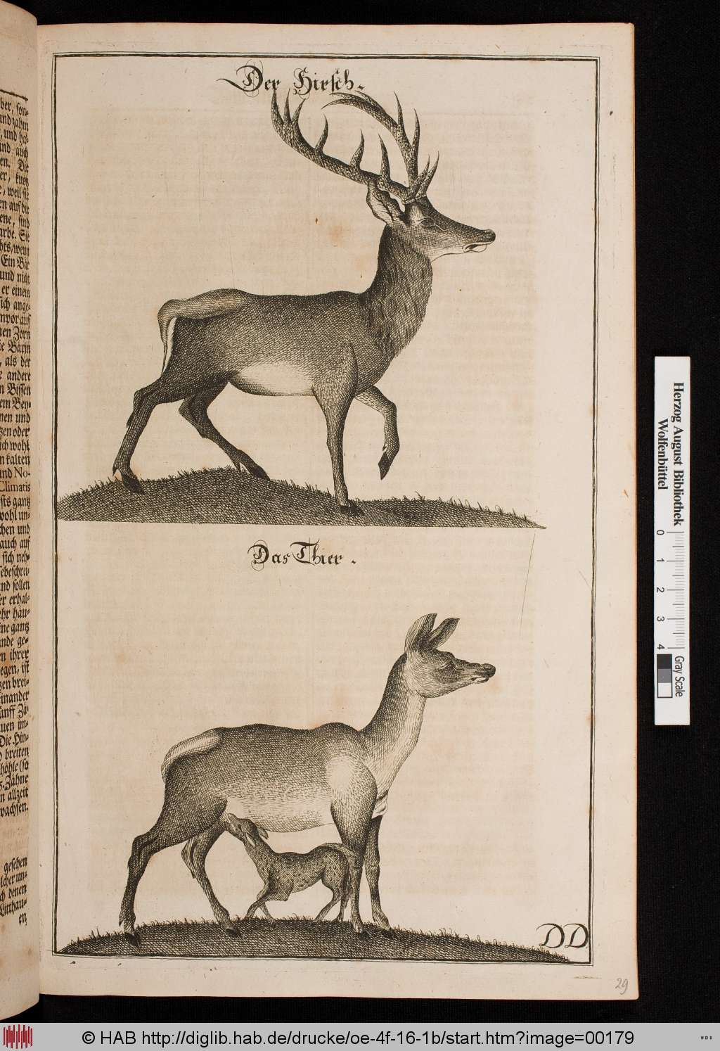 http://diglib.hab.de/drucke/oe-4f-16-1b/00179.jpg