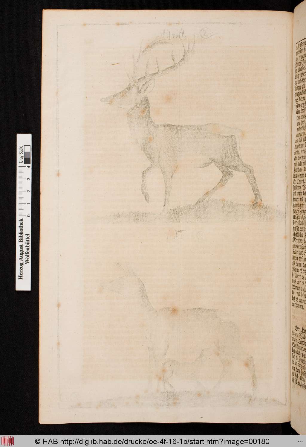 http://diglib.hab.de/drucke/oe-4f-16-1b/00180.jpg