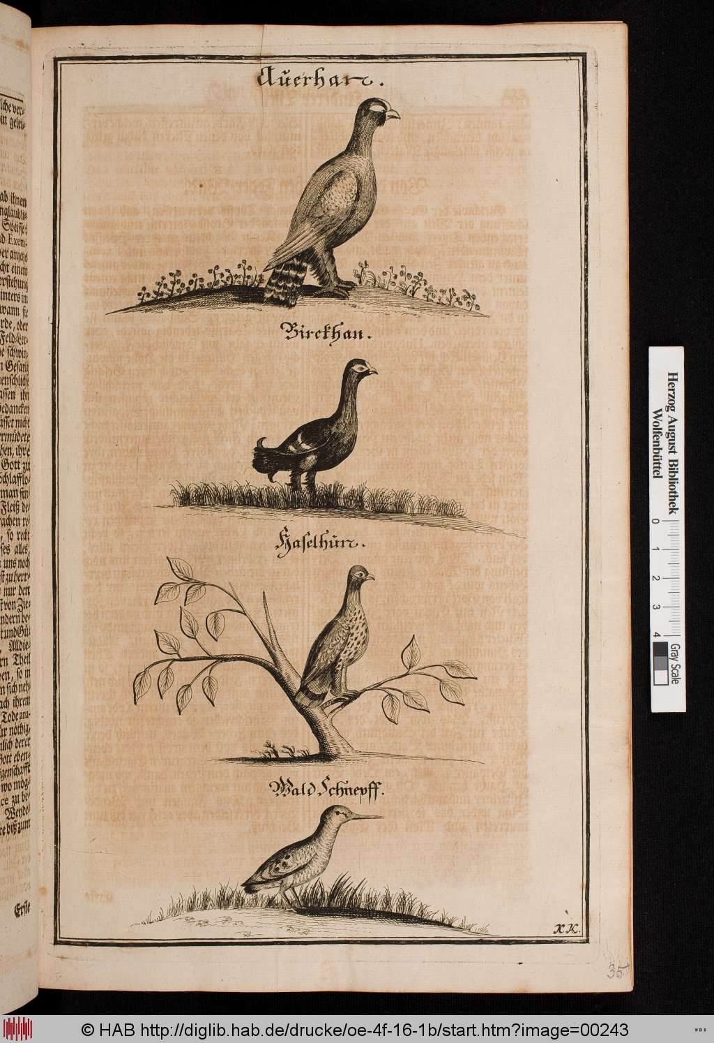 http://diglib.hab.de/drucke/oe-4f-16-1b/00243.jpg