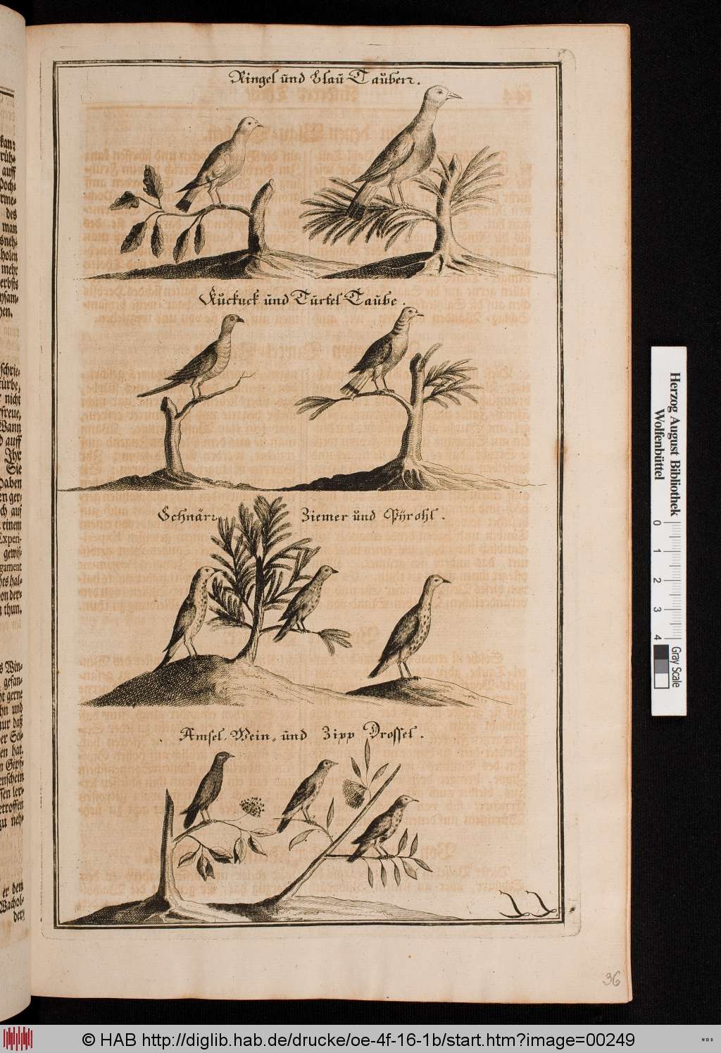 http://diglib.hab.de/drucke/oe-4f-16-1b/00249.jpg