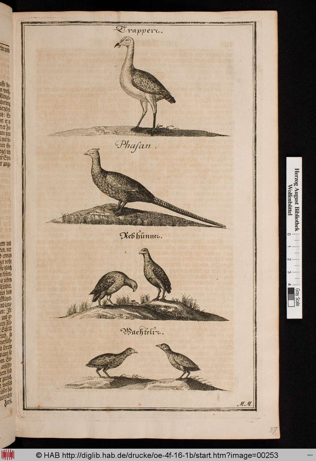 http://diglib.hab.de/drucke/oe-4f-16-1b/00253.jpg