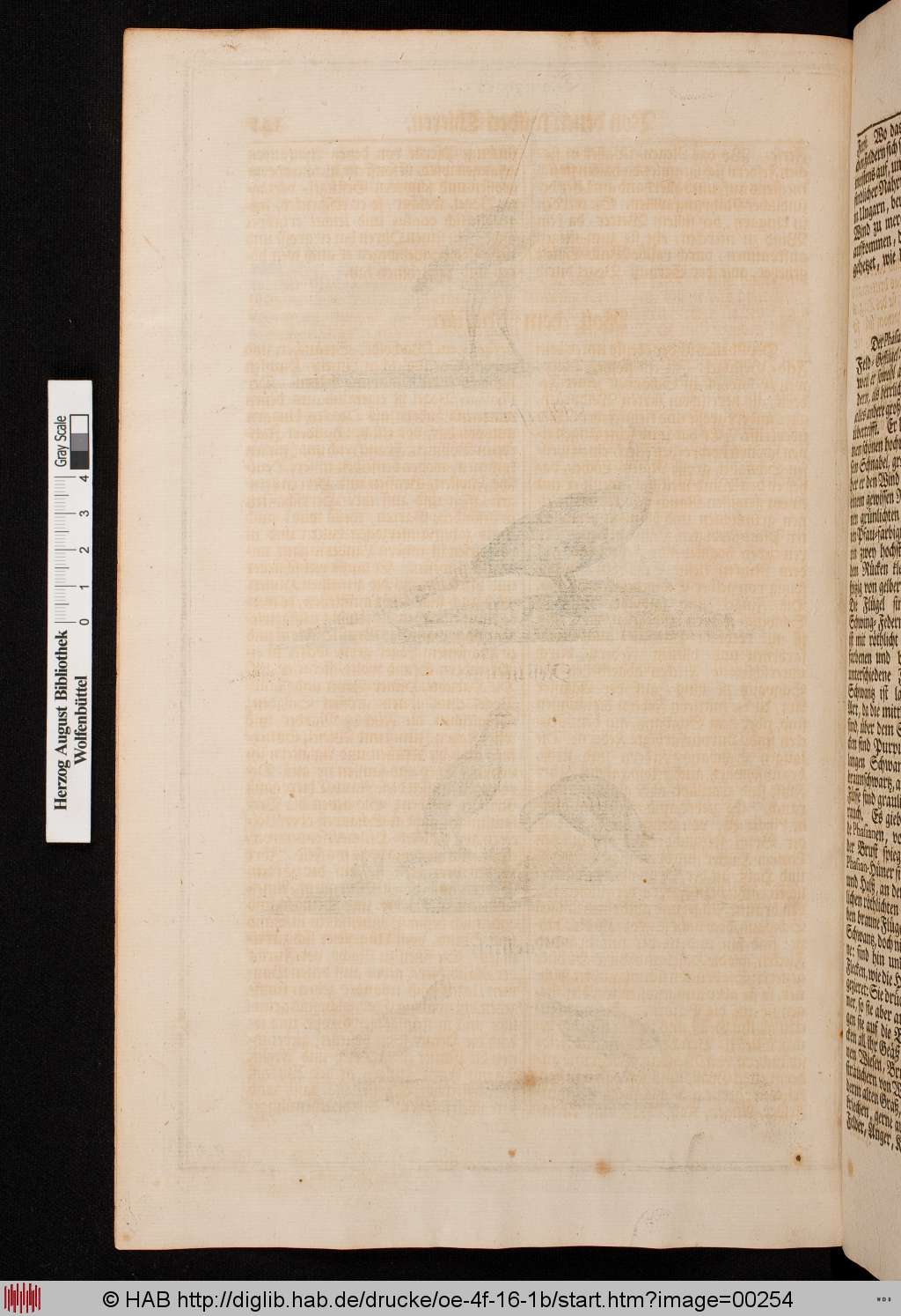 http://diglib.hab.de/drucke/oe-4f-16-1b/00254.jpg