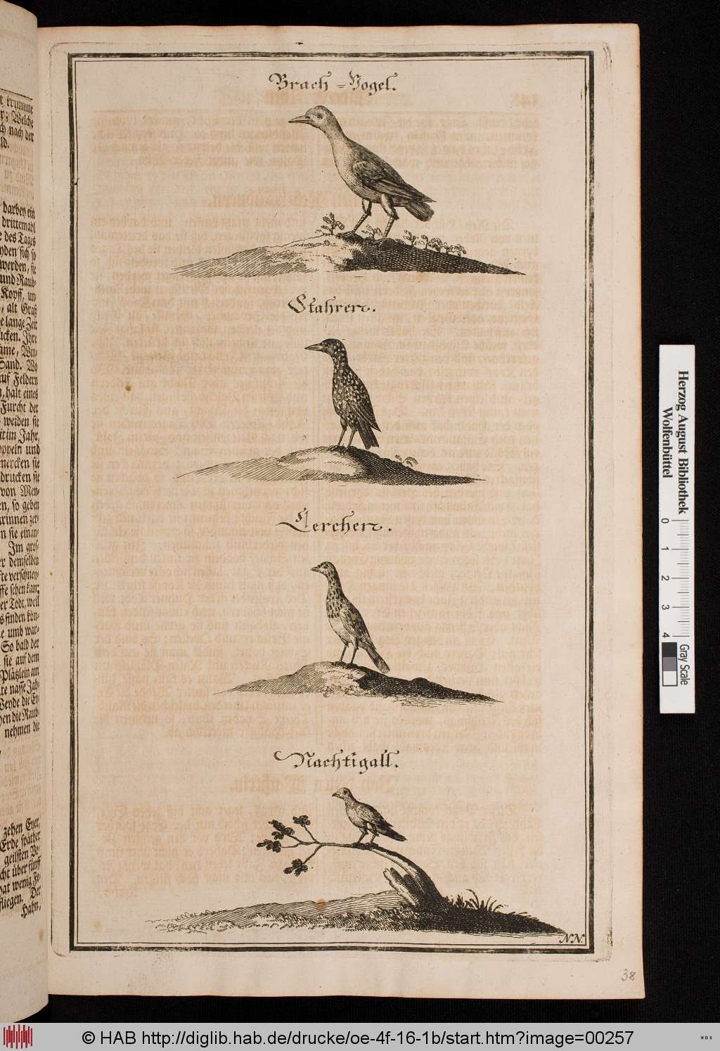 http://diglib.hab.de/drucke/oe-4f-16-1b/00257.jpg