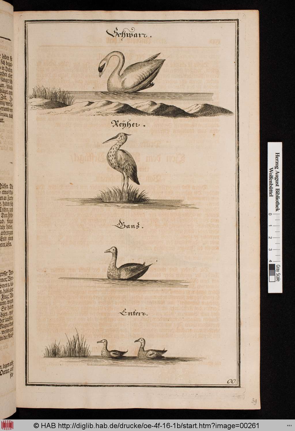 http://diglib.hab.de/drucke/oe-4f-16-1b/00261.jpg