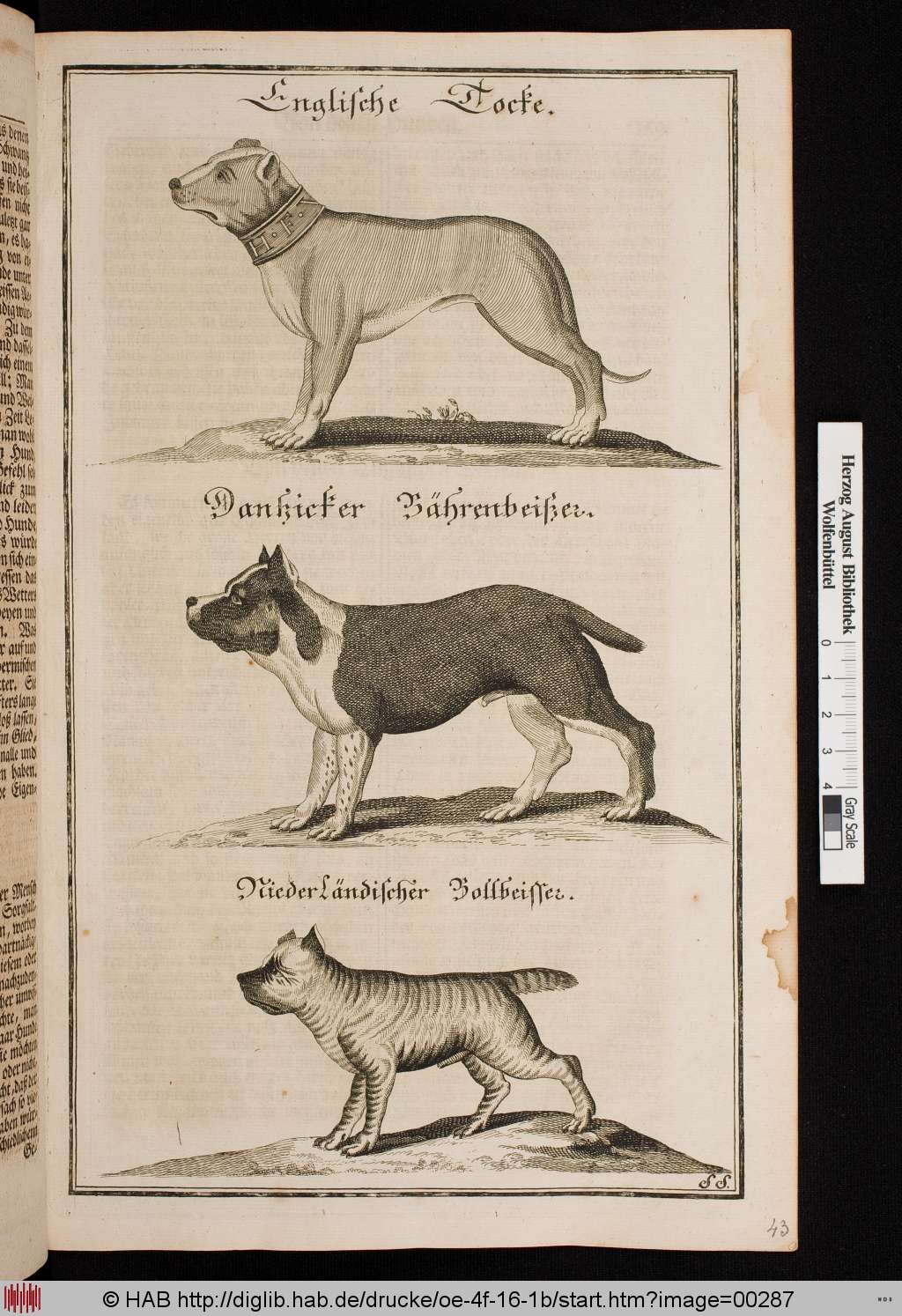 http://diglib.hab.de/drucke/oe-4f-16-1b/00287.jpg