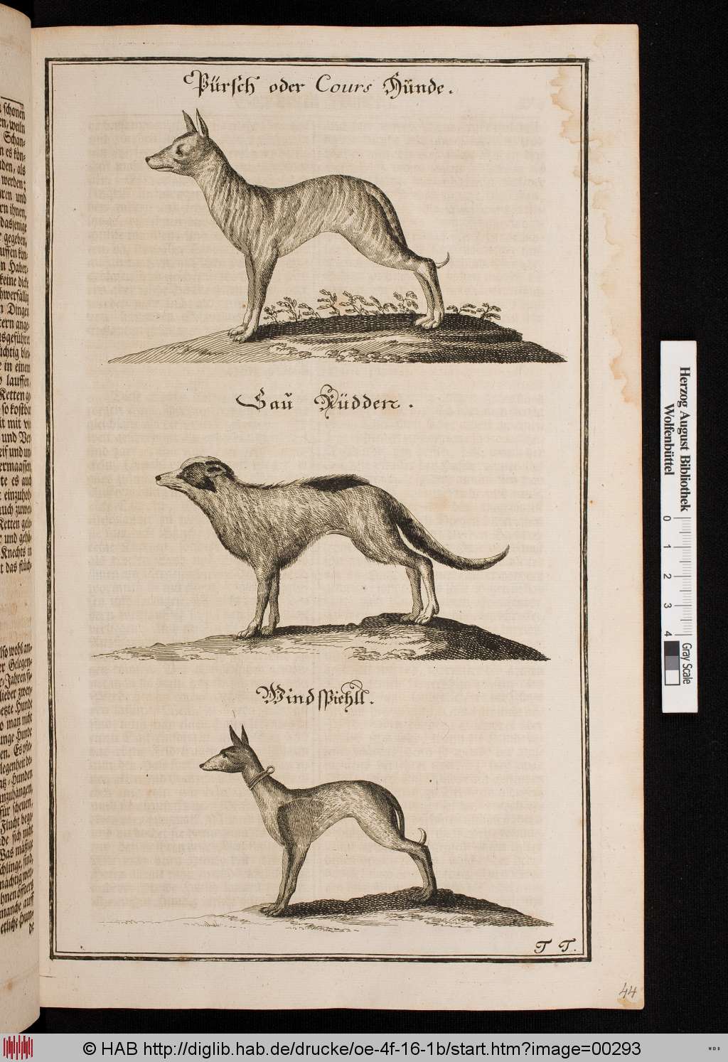 http://diglib.hab.de/drucke/oe-4f-16-1b/00293.jpg