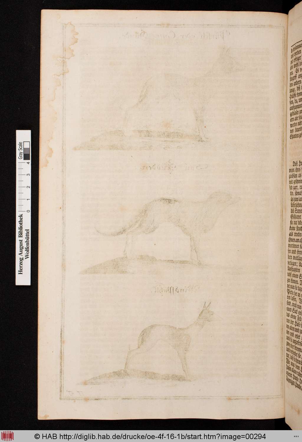 http://diglib.hab.de/drucke/oe-4f-16-1b/00294.jpg