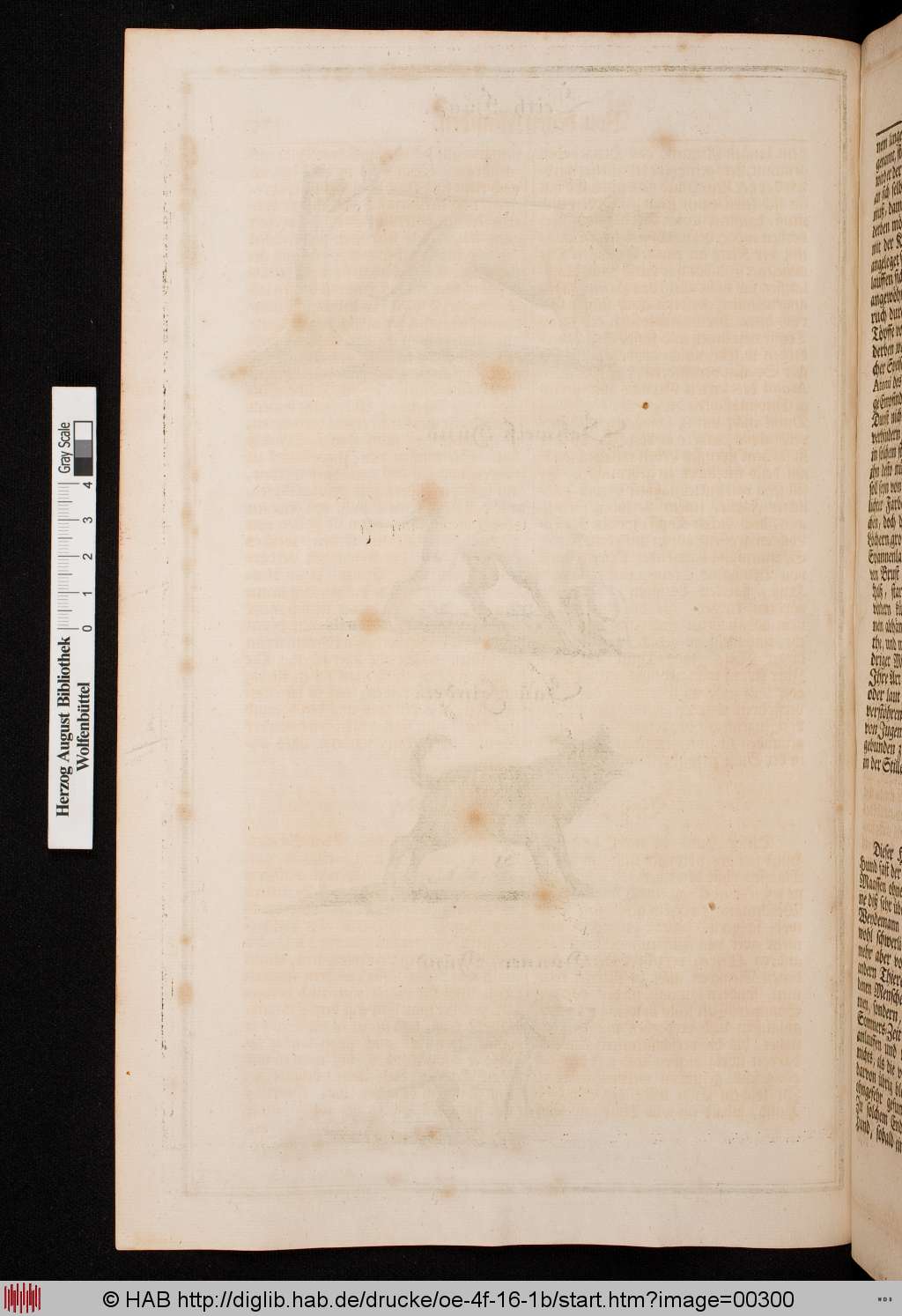 http://diglib.hab.de/drucke/oe-4f-16-1b/00300.jpg