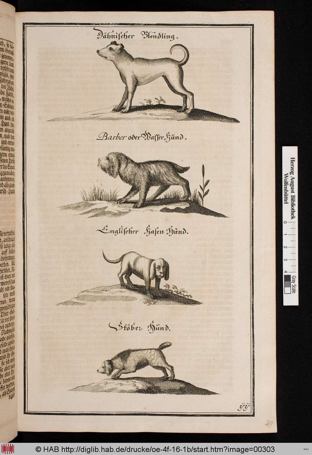 http://diglib.hab.de/drucke/oe-4f-16-1b/00303.jpg