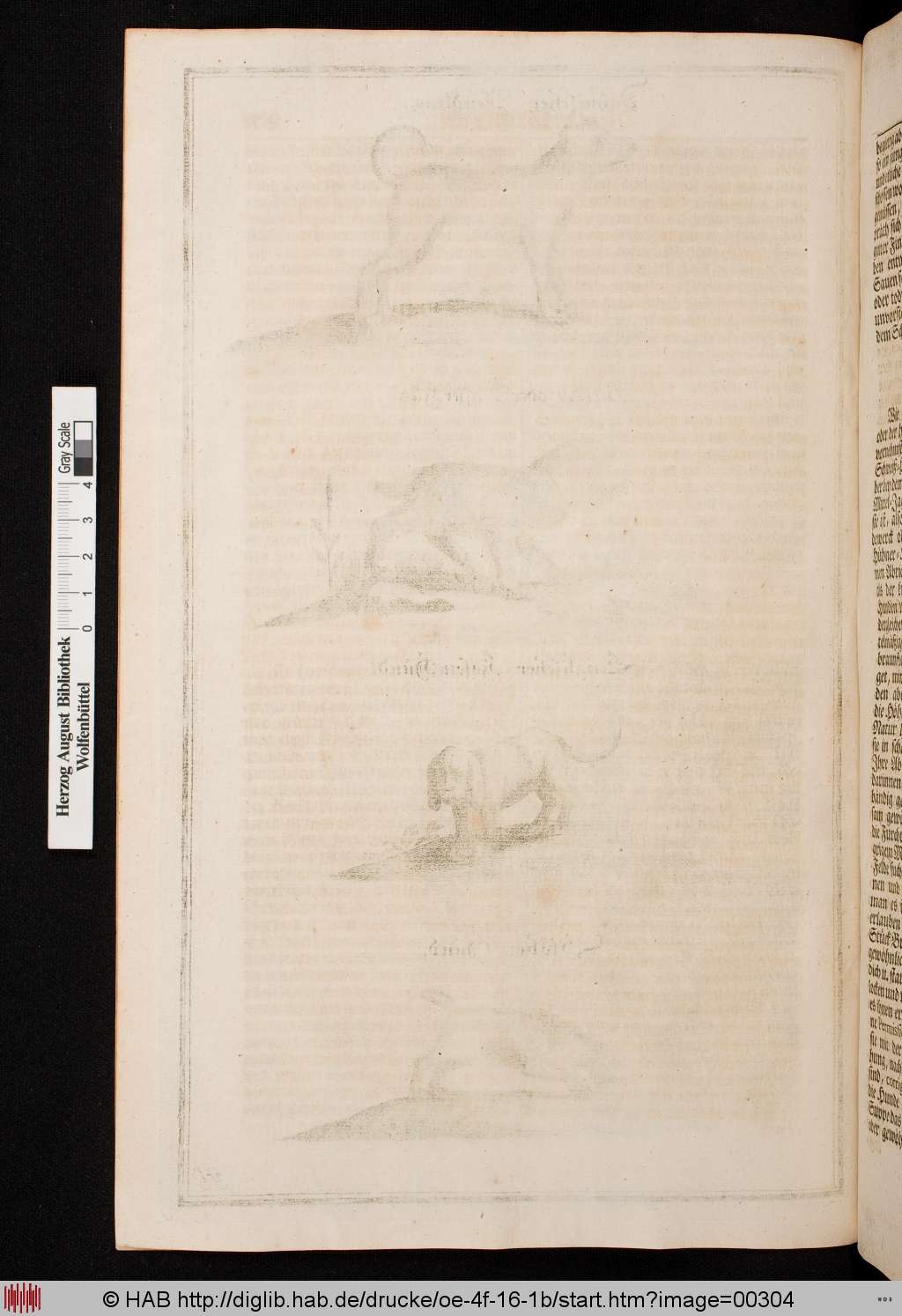 http://diglib.hab.de/drucke/oe-4f-16-1b/00304.jpg