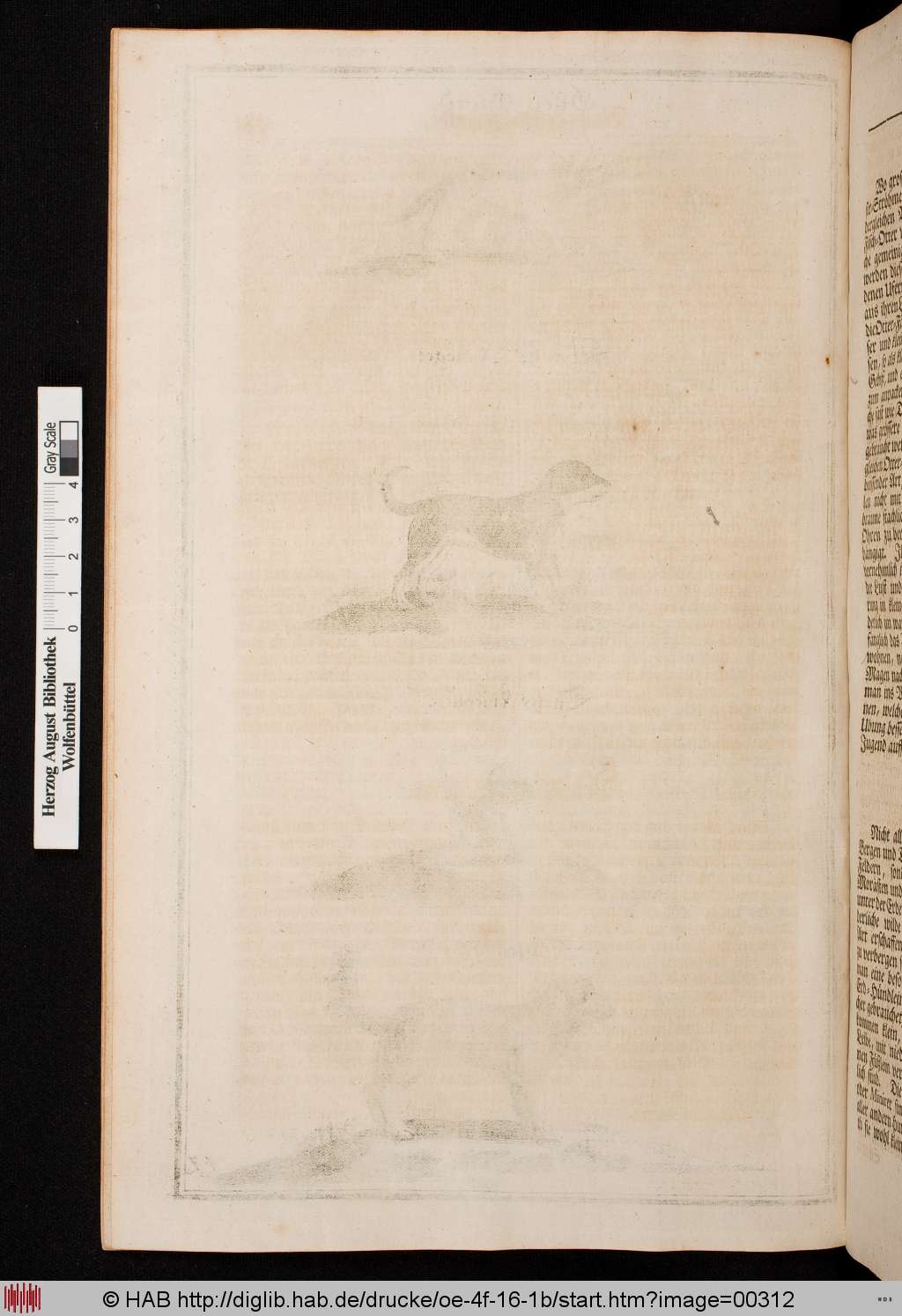 http://diglib.hab.de/drucke/oe-4f-16-1b/00312.jpg
