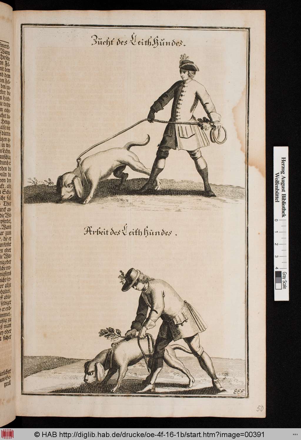 http://diglib.hab.de/drucke/oe-4f-16-1b/00391.jpg