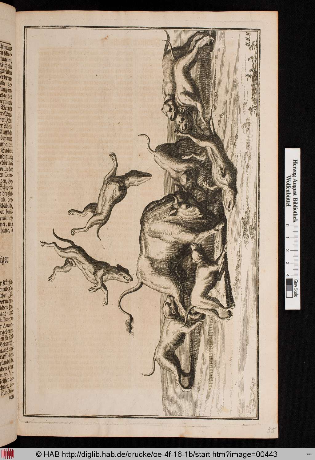http://diglib.hab.de/drucke/oe-4f-16-1b/00443.jpg