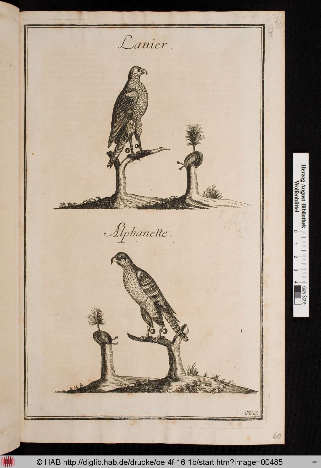 http://diglib.hab.de/drucke/oe-4f-16-1b/00485.jpg
