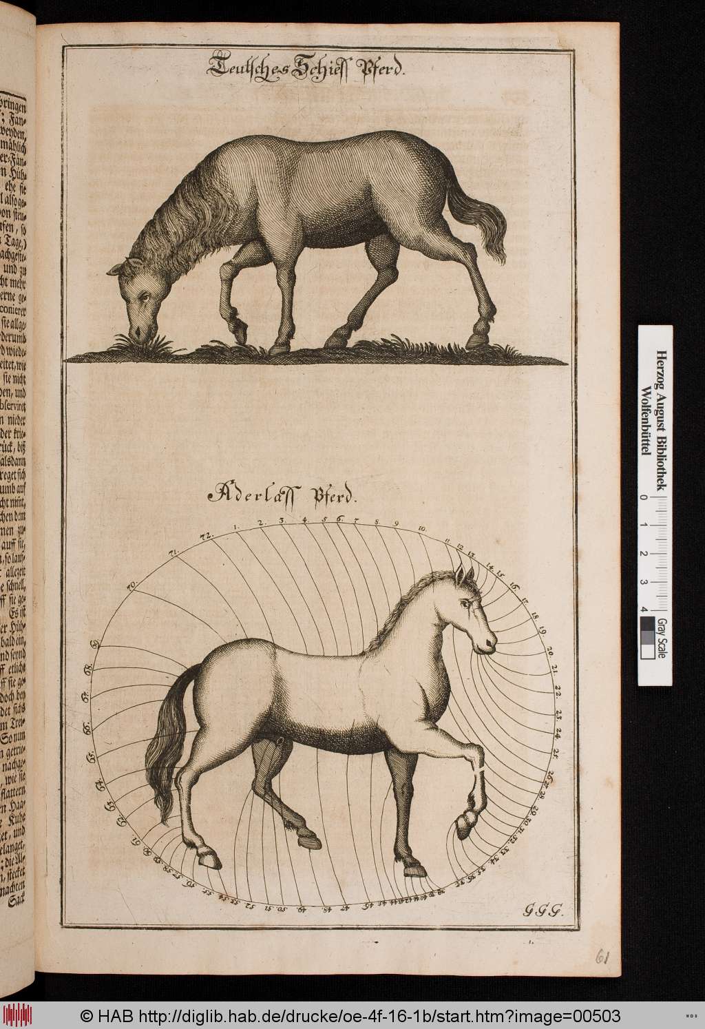 http://diglib.hab.de/drucke/oe-4f-16-1b/00503.jpg