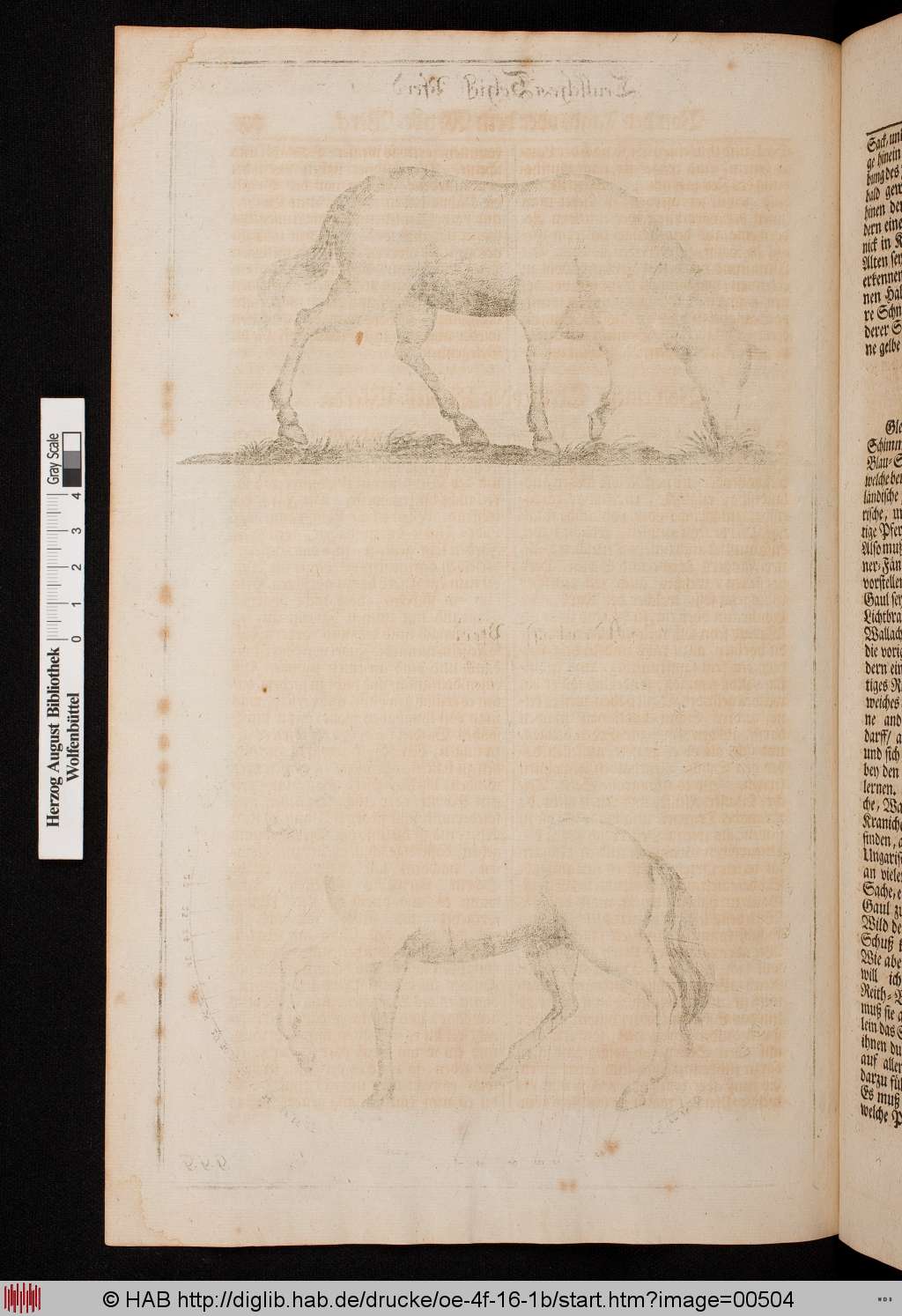 http://diglib.hab.de/drucke/oe-4f-16-1b/00504.jpg