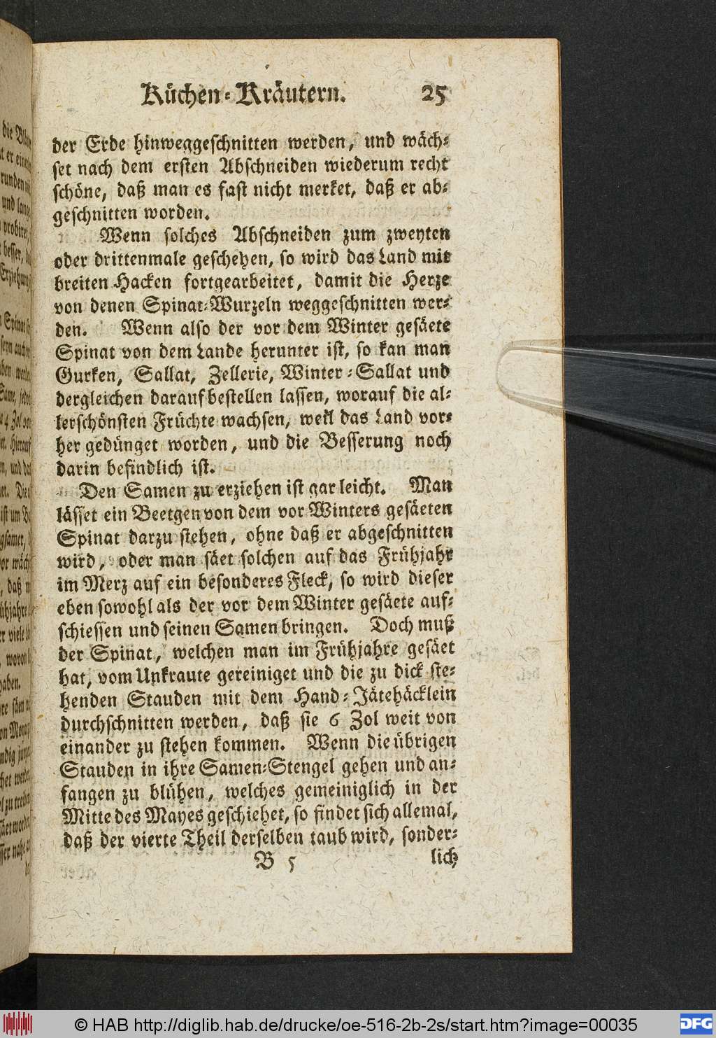 http://diglib.hab.de/drucke/oe-516-2b-2s/00035.jpg