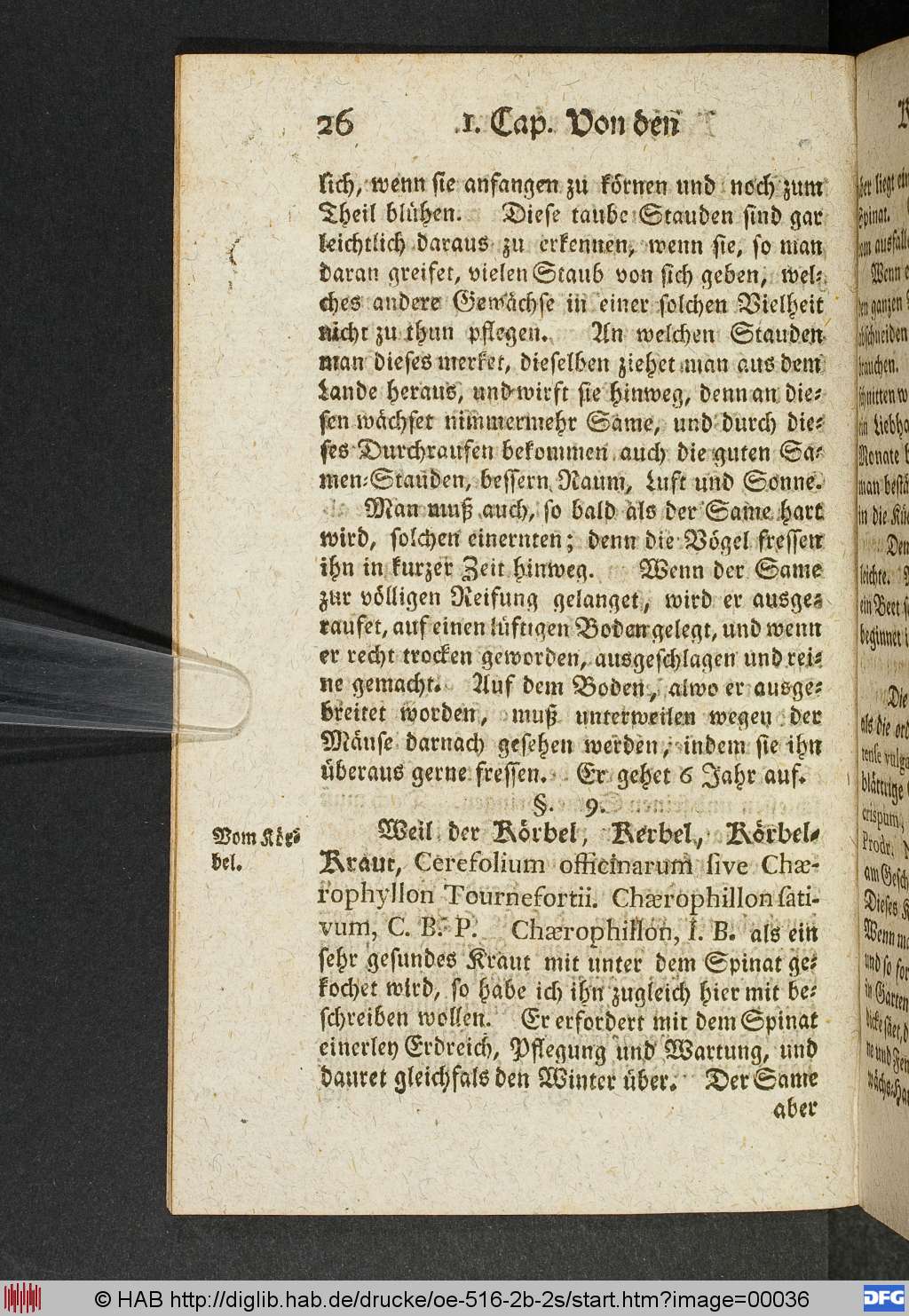 http://diglib.hab.de/drucke/oe-516-2b-2s/00036.jpg