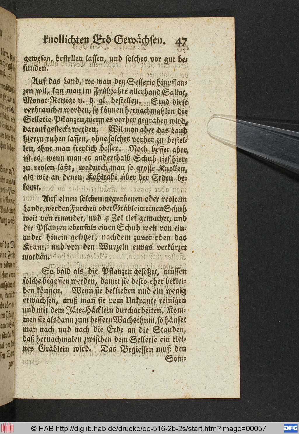 http://diglib.hab.de/drucke/oe-516-2b-2s/00057.jpg