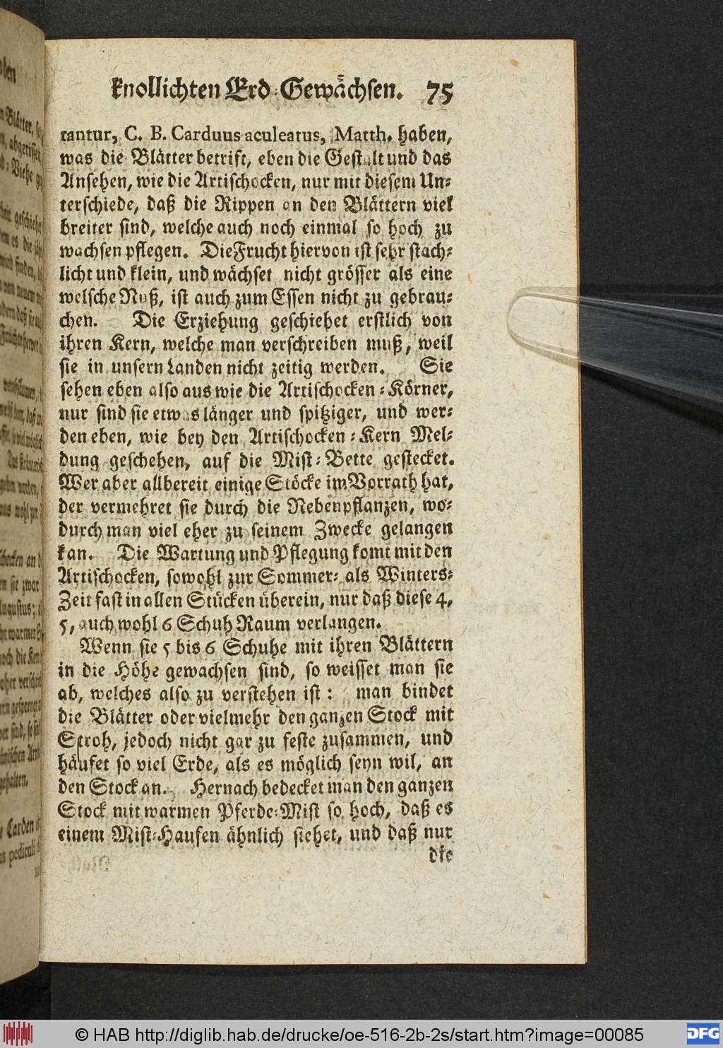 http://diglib.hab.de/drucke/oe-516-2b-2s/00085.jpg