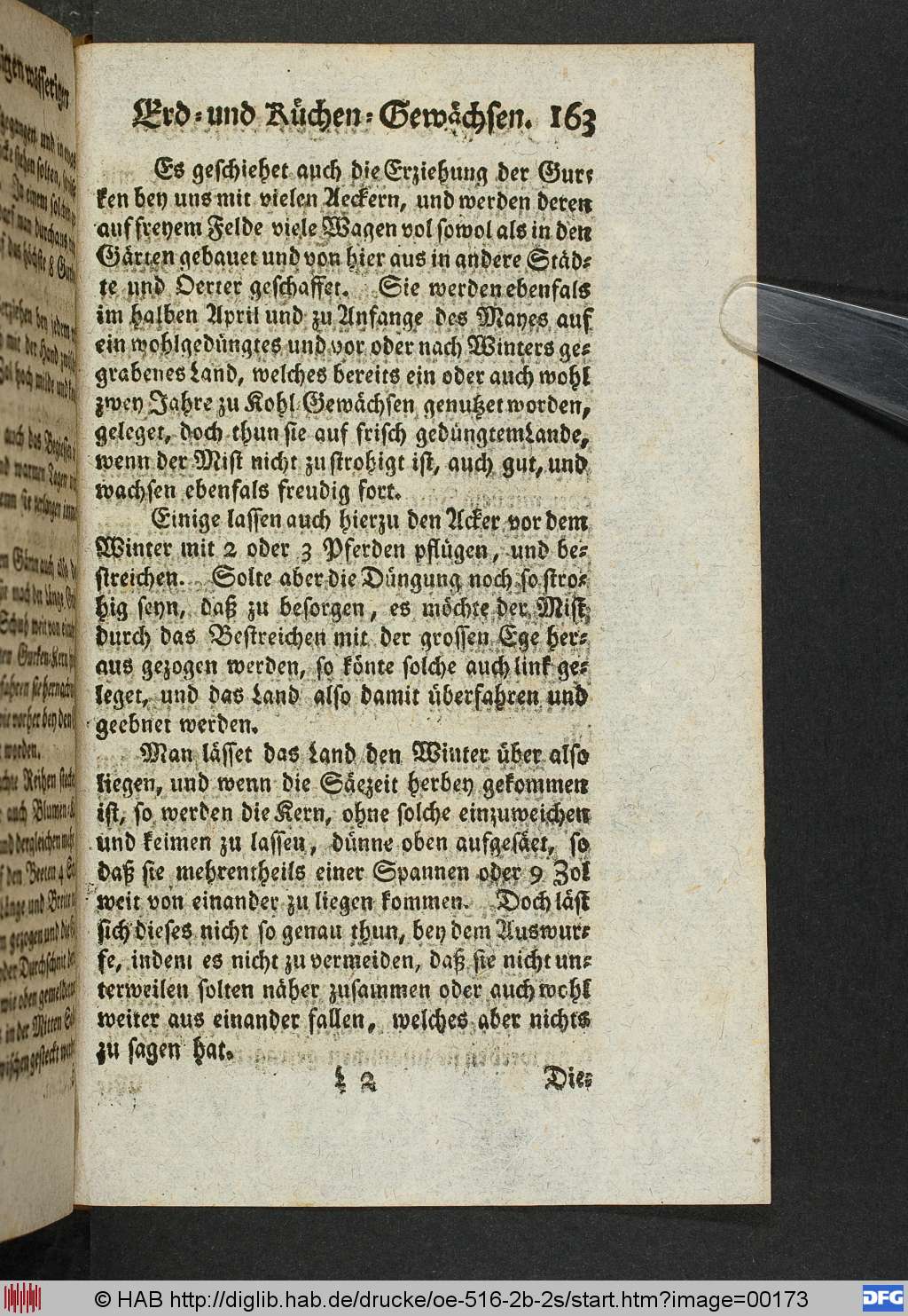 http://diglib.hab.de/drucke/oe-516-2b-2s/00173.jpg