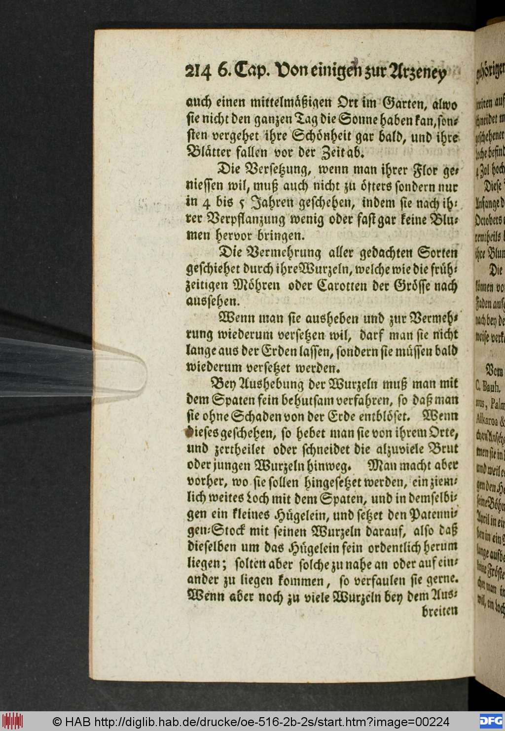 http://diglib.hab.de/drucke/oe-516-2b-2s/00224.jpg