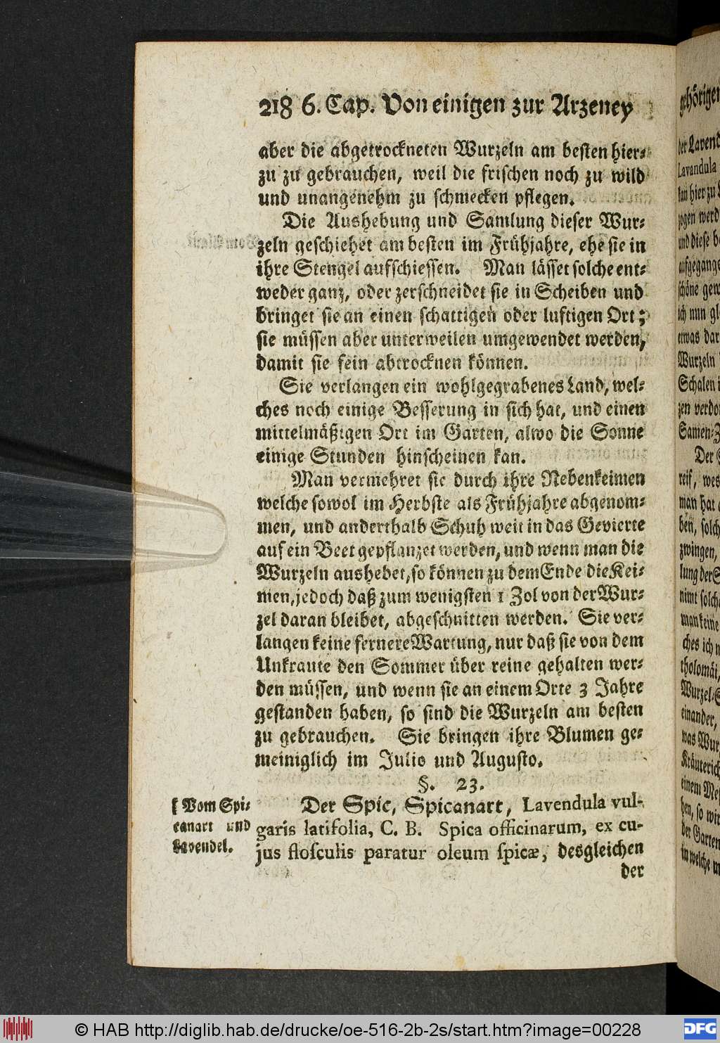 http://diglib.hab.de/drucke/oe-516-2b-2s/00228.jpg