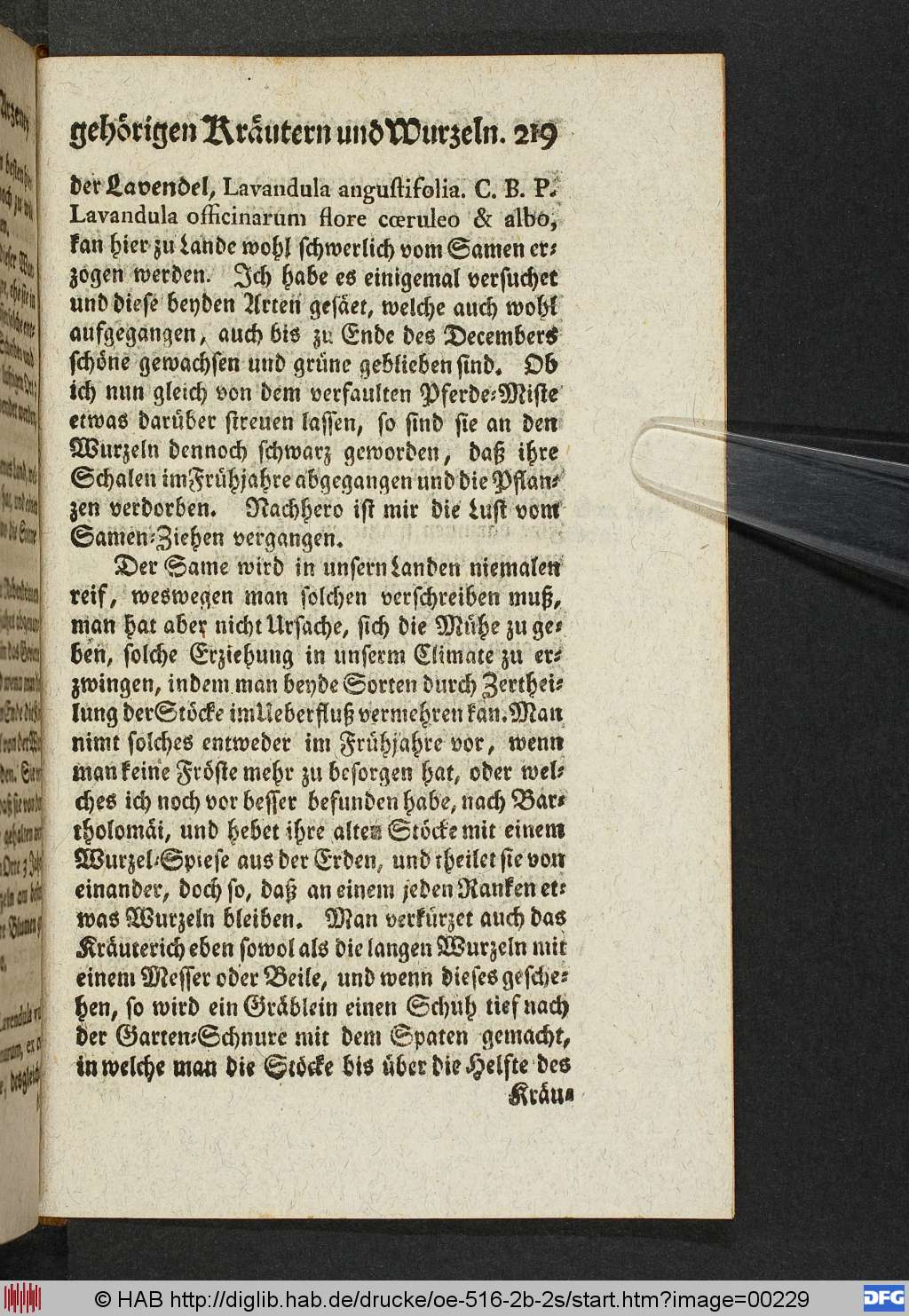 http://diglib.hab.de/drucke/oe-516-2b-2s/00229.jpg