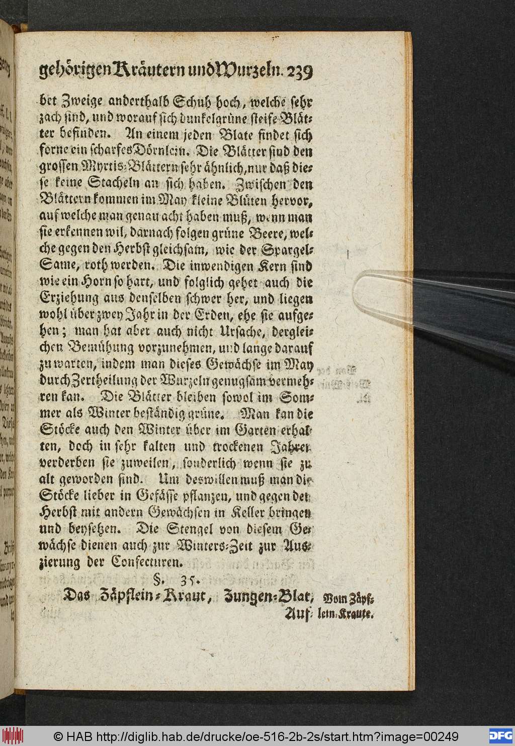 http://diglib.hab.de/drucke/oe-516-2b-2s/00249.jpg