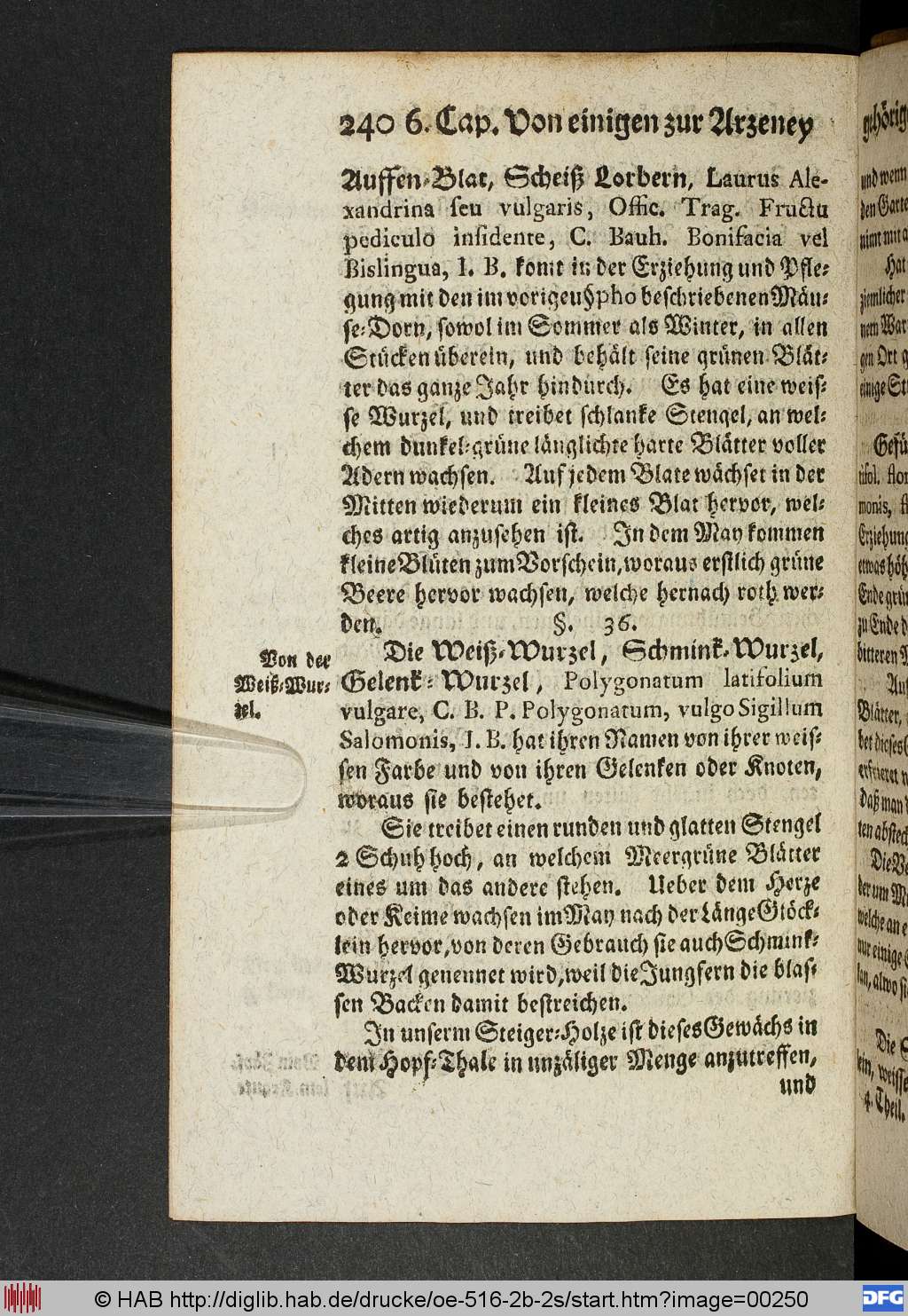 http://diglib.hab.de/drucke/oe-516-2b-2s/00250.jpg