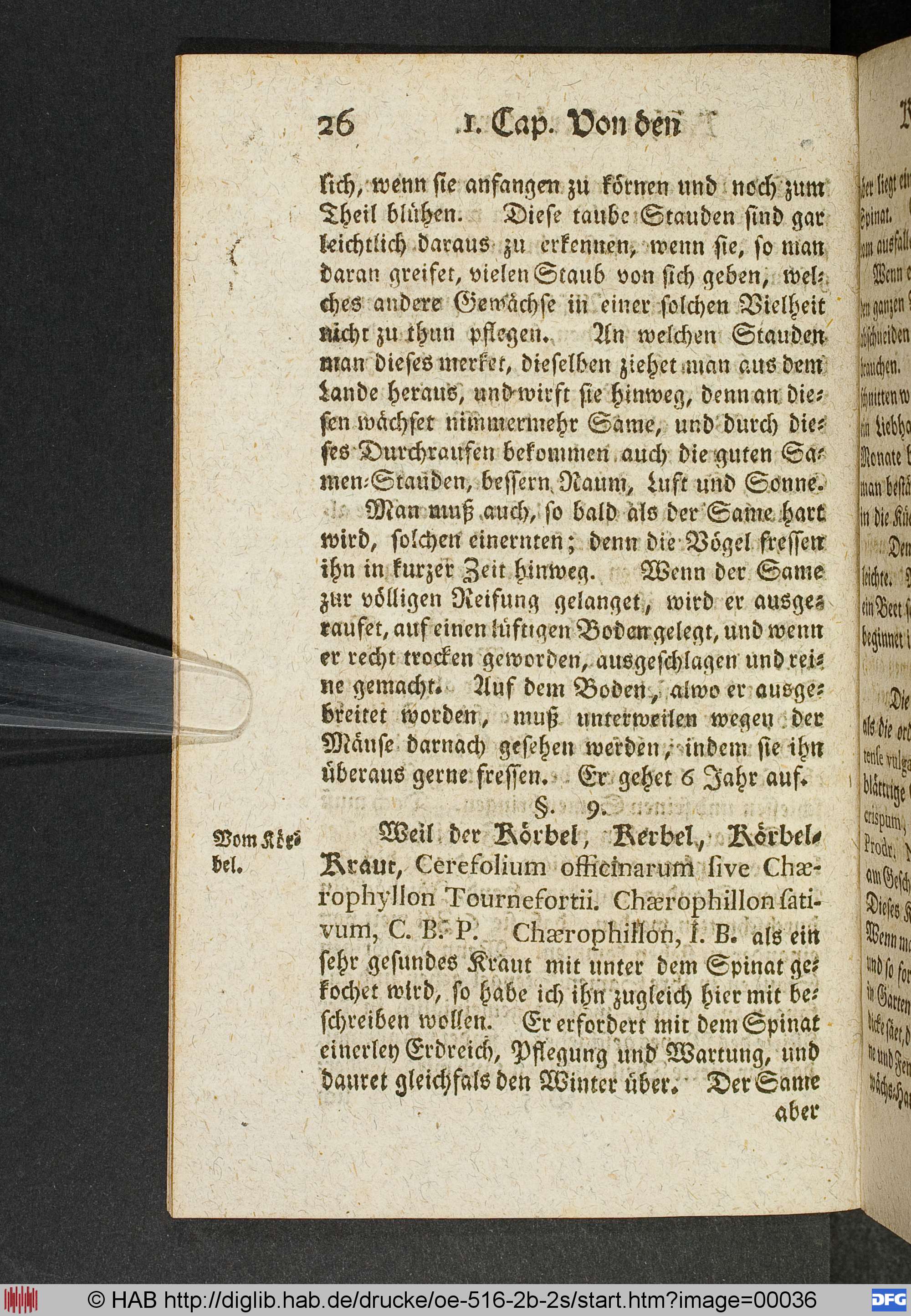 http://diglib.hab.de/drucke/oe-516-2b-2s/max/00036.jpg
