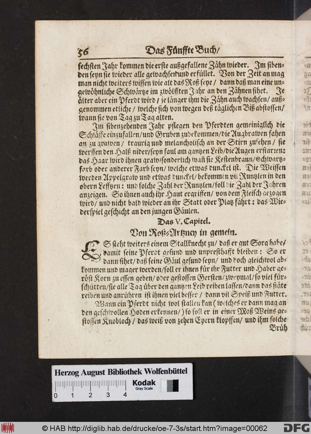 http://diglib.hab.de/drucke/oe-7-3s/00062.jpg