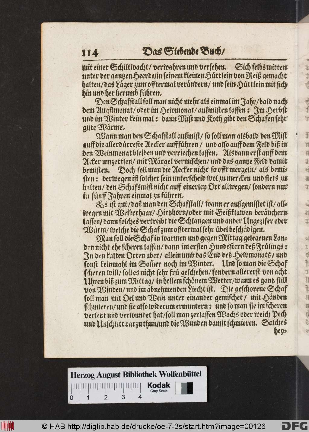 http://diglib.hab.de/drucke/oe-7-3s/00126.jpg