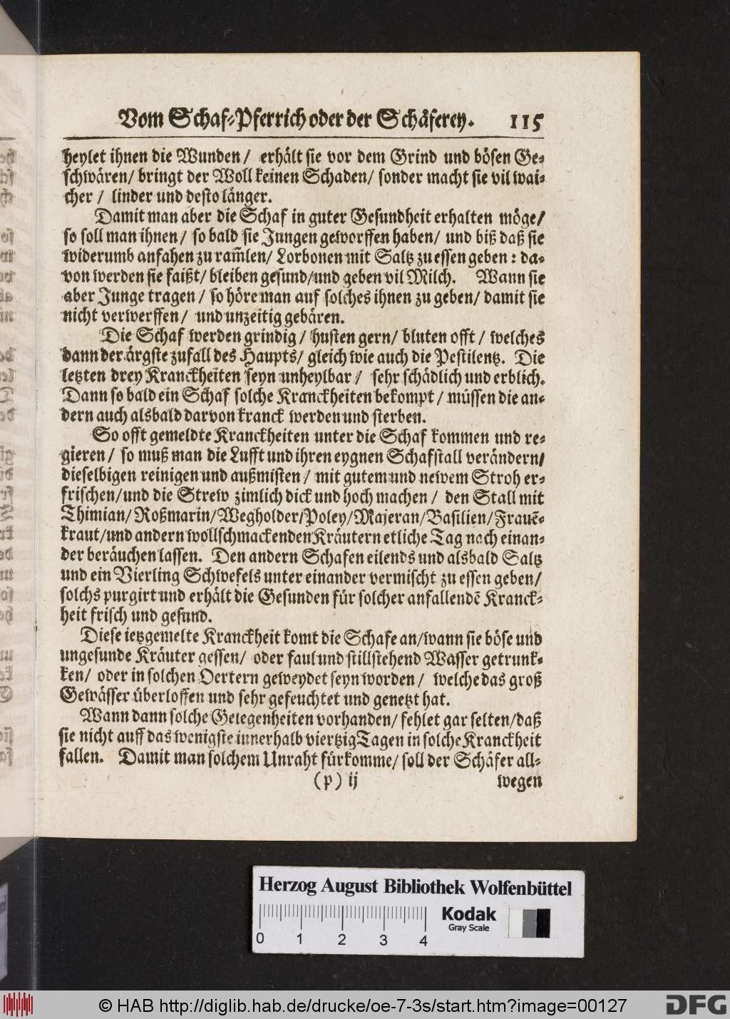 http://diglib.hab.de/drucke/oe-7-3s/00127.jpg