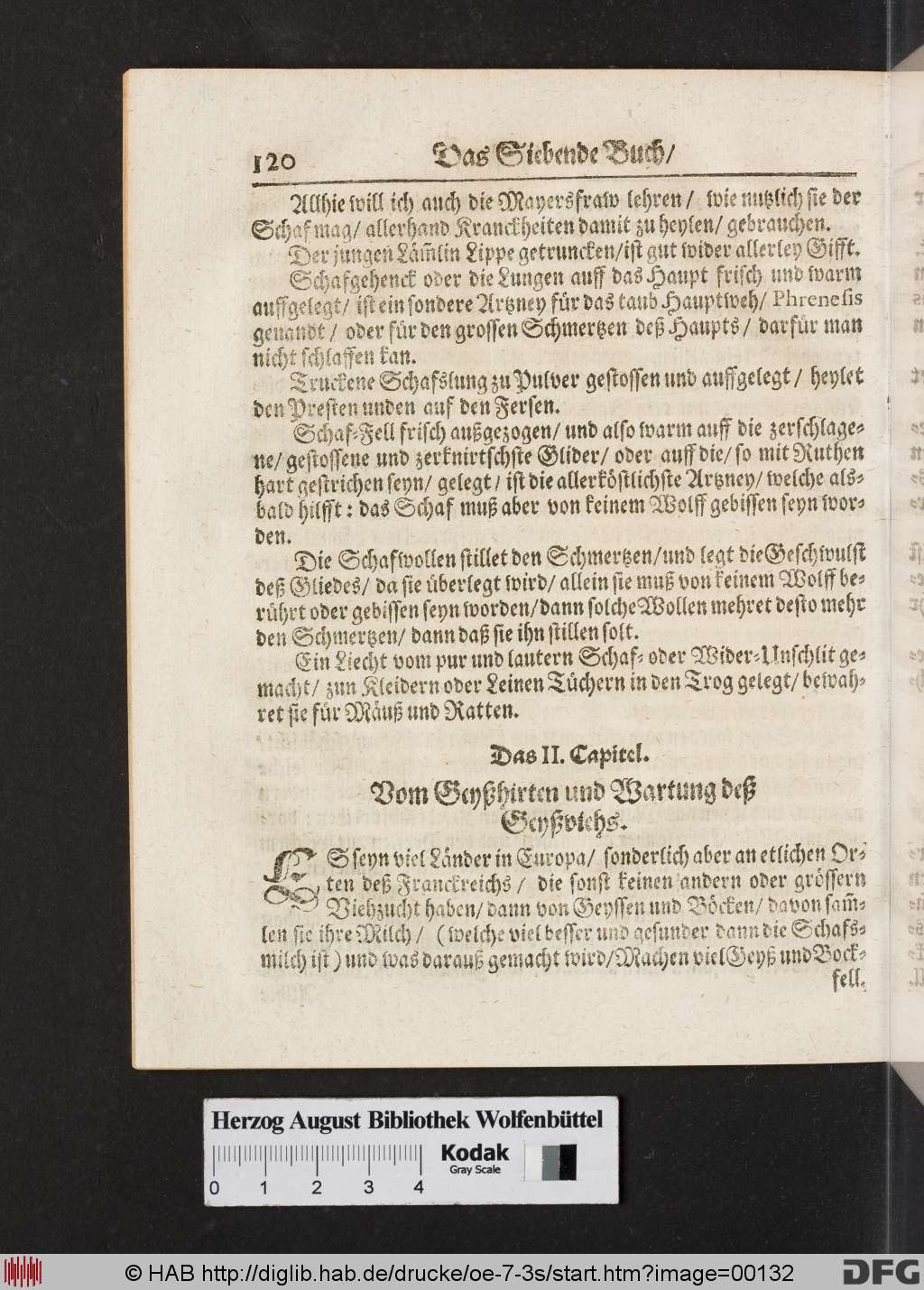 http://diglib.hab.de/drucke/oe-7-3s/00132.jpg