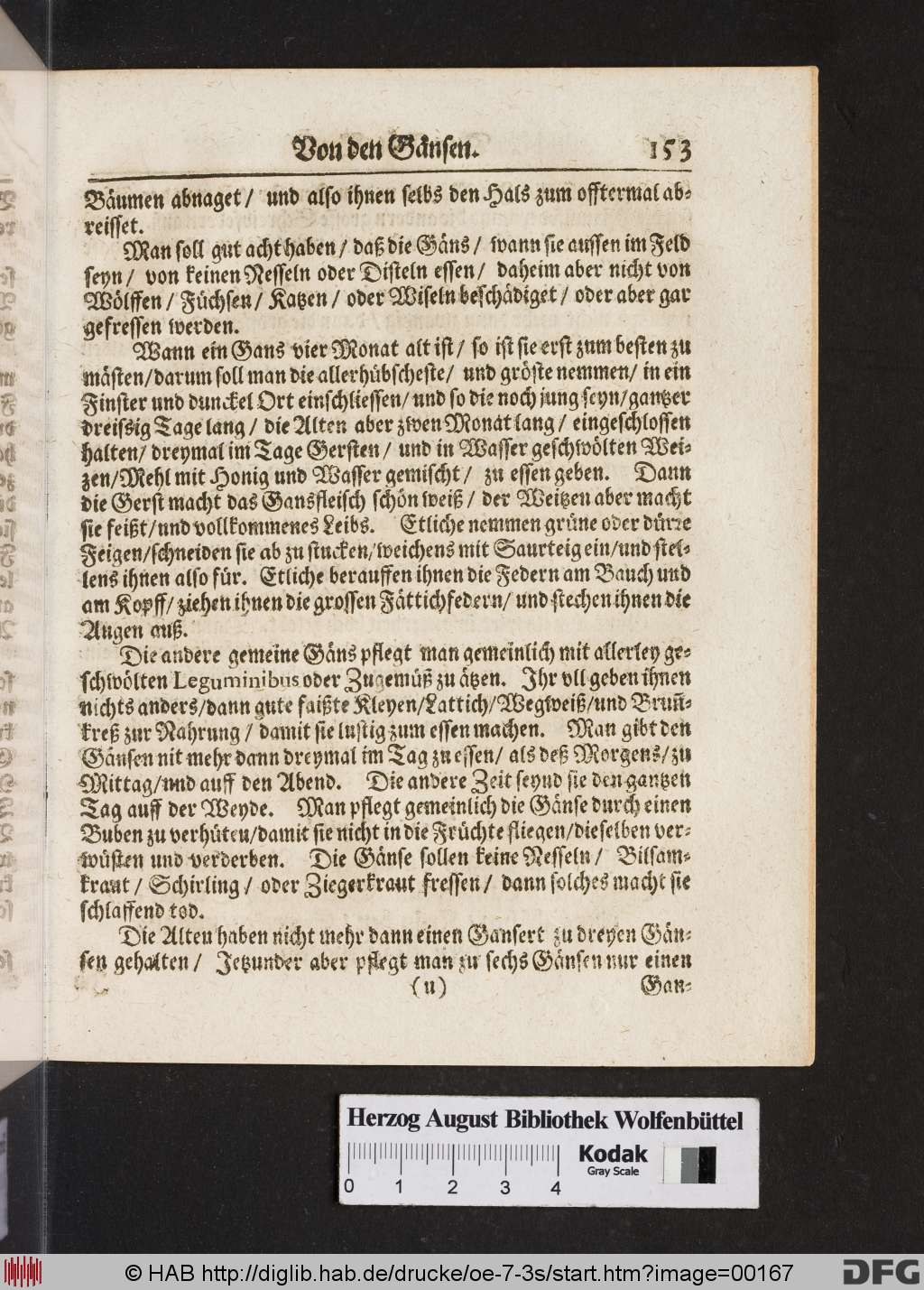 http://diglib.hab.de/drucke/oe-7-3s/00167.jpg
